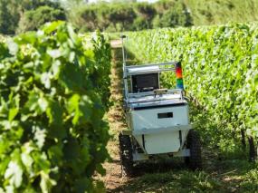 vinerobot
